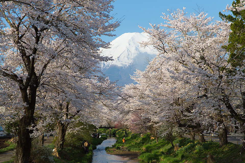 2016.04.20の富士山