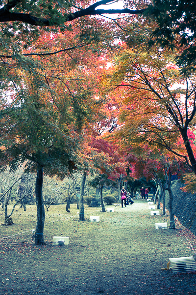 2012.11.05の富士山